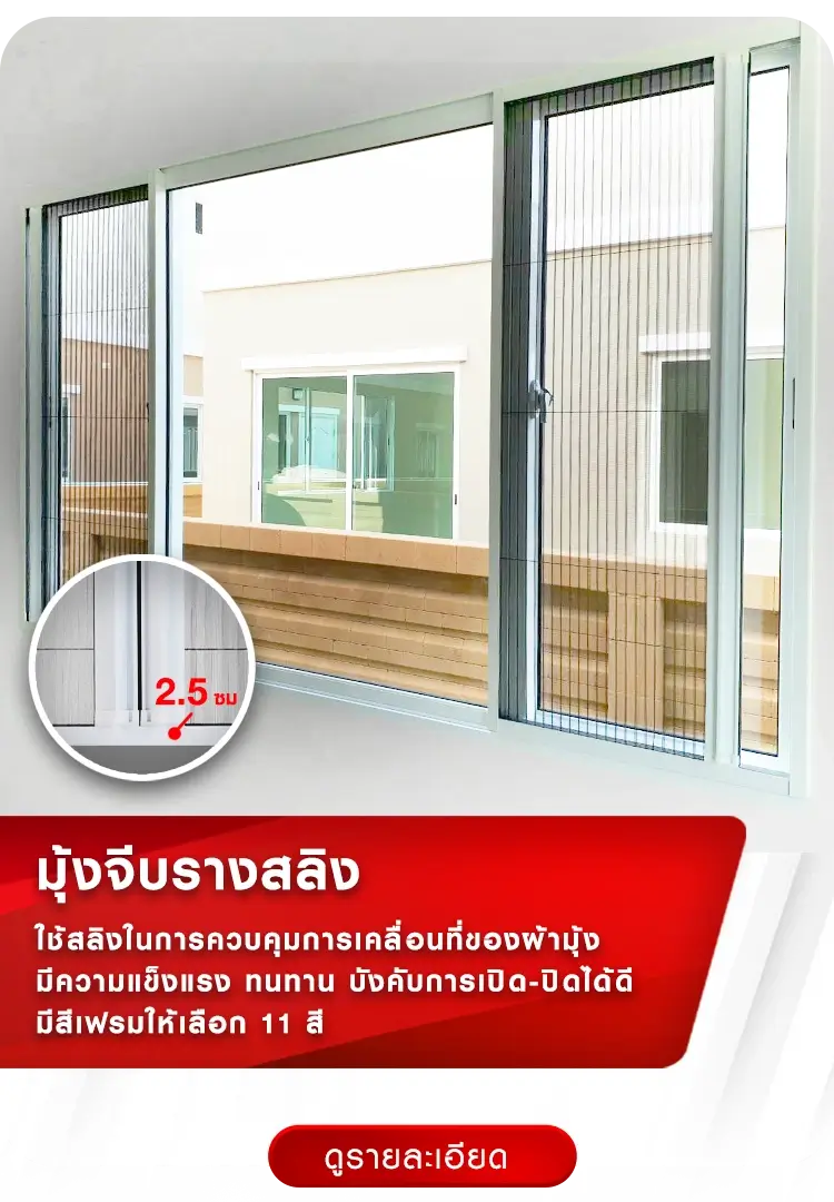 มุ้งจีบรางสลิง | มุ้งจีบร้อยล้าน