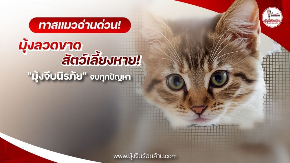 มุ้งจีบนิรภัย มุ้งจีบสัตว์เลี้ยง